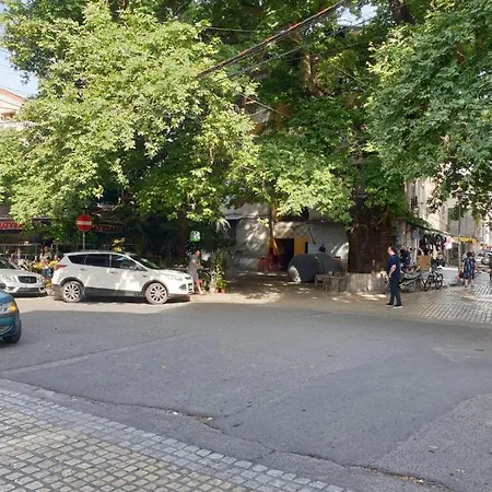 27 Center House Shkoder